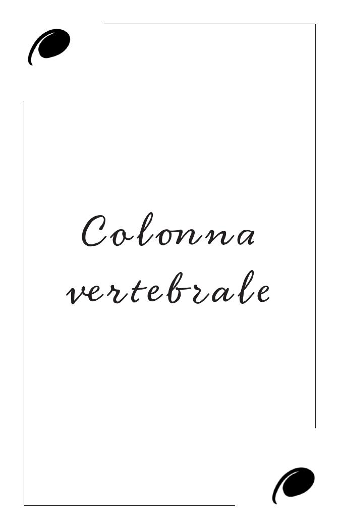 Immagine della carta Colonna vertebrale