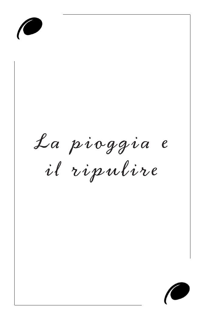 Immagine della carta La pioggia e il ripulire